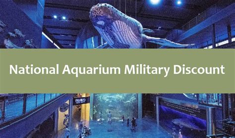 Baltimore national aquarium military discount. Things To Know About Baltimore national aquarium military discount. 